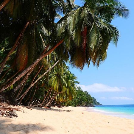 فندق Praia Piscina Santo António المظهر الخارجي الصورة